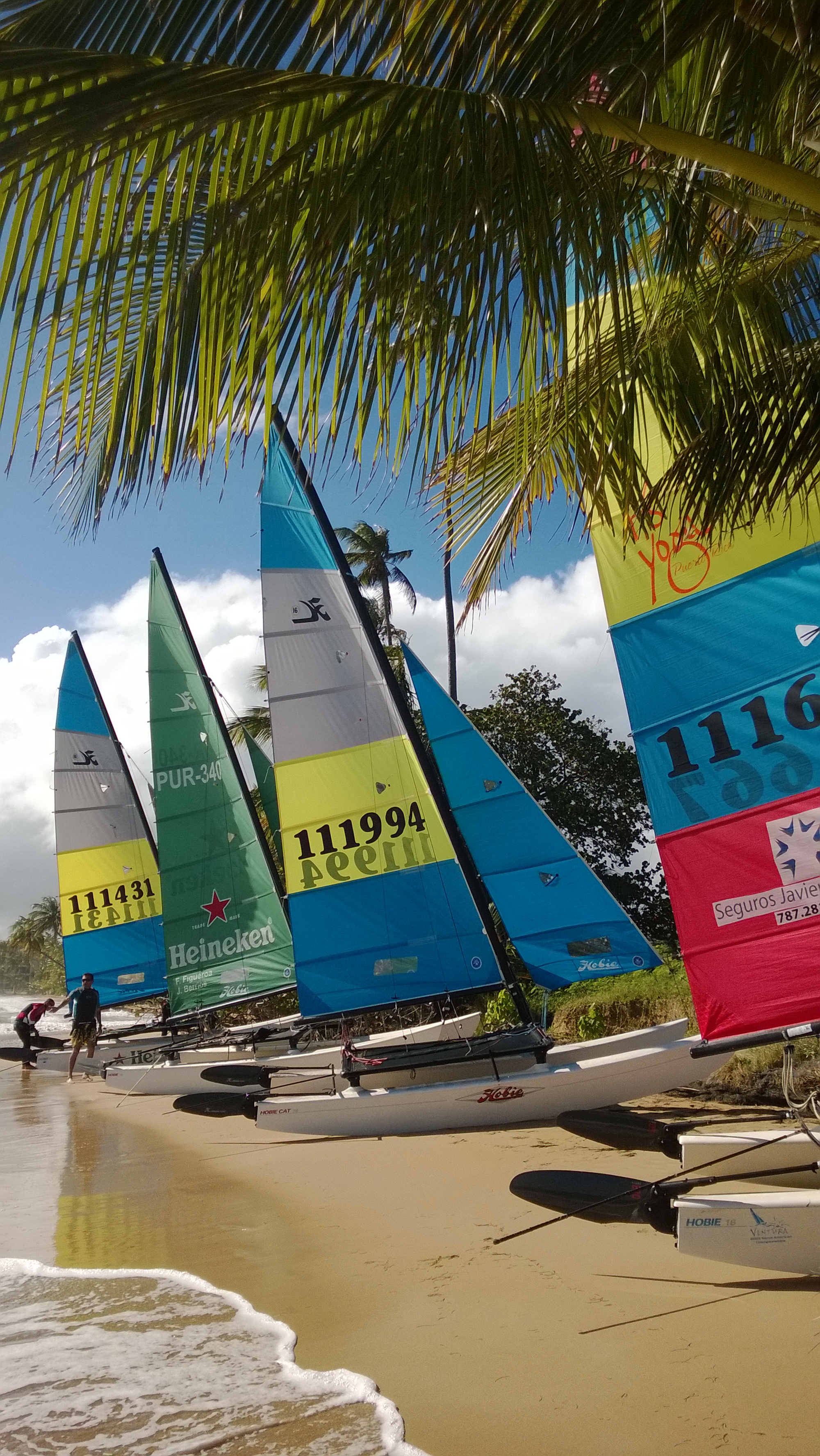 Hobie Cat 16